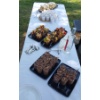 IMG-20180506-WA0003 1